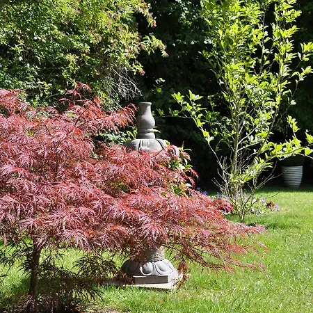 Bed & Breakfast Manoir Des Lions De 3*