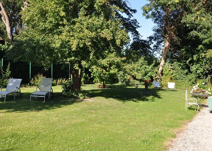 Manoir Des Lions De Отель типа 