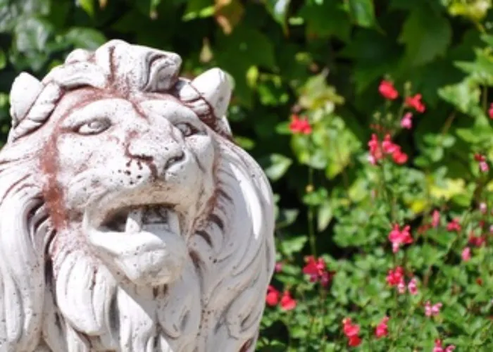 Manoir Des Lions De Bed & Breakfast