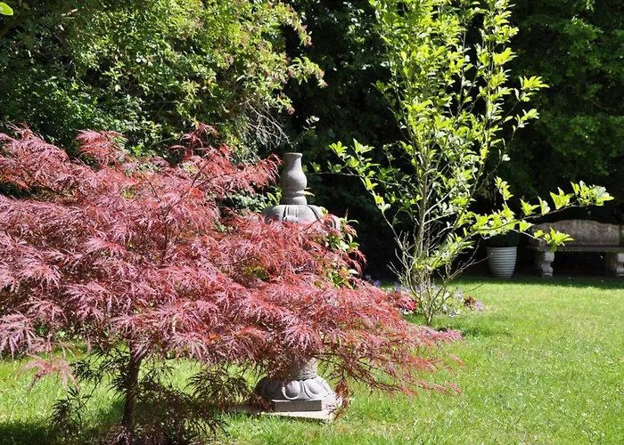 Manoir Des Lions De 3*