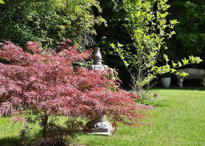 Bed & Breakfast Manoir Des Lions De 3*